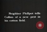 Image of African American farmers treat cotton for boll weevils United States USA, 1921, second 6 stock footage video 65675023990