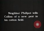 Image of African American farmers treat cotton for boll weevils United States USA, 1921, second 8 stock footage video 65675023990