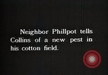 Image of African American farmers treat cotton for boll weevils United States USA, 1921, second 9 stock footage video 65675023990