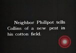 Image of African American farmers treat cotton for boll weevils United States USA, 1921, second 10 stock footage video 65675023990