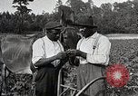 Image of African American farmers treat cotton for boll weevils United States USA, 1921, second 23 stock footage video 65675023990