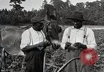 Image of African American farmers treat cotton for boll weevils United States USA, 1921, second 27 stock footage video 65675023990
