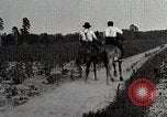 Image of African American farmers treat cotton for boll weevils United States USA, 1921, second 43 stock footage video 65675023990