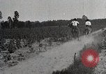 Image of African American farmers treat cotton for boll weevils United States USA, 1921, second 45 stock footage video 65675023990