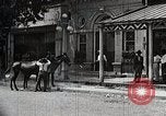 Image of African American farmers treat cotton for boll weevils United States USA, 1921, second 56 stock footage video 65675023990