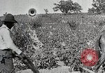 Image of Tuskegee Movable School students learn carpentry farming and astronomy Alabama United States USA, 1921, second 58 stock footage video 65675023993