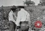 Image of Tuskegee Movable School students learn carpentry farming and astronomy Alabama United States USA, 1921, second 59 stock footage video 65675023993