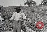 Image of Tuskegee Movable School students learn carpentry farming and astronomy Alabama United States USA, 1921, second 61 stock footage video 65675023993