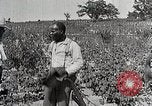 Image of Tuskegee Movable School students learn carpentry farming and astronomy Alabama United States USA, 1921, second 62 stock footage video 65675023993