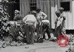 Image Negro students learning de semer des plantes et construire une remise Alabama United States USA, 1921, de la seconde 7 séquences d'archives historiques vidéo 65675023995