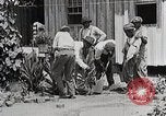 Image Negro students learning de semer des plantes et construire une remise Alabama United States USA, 1921, de la seconde 8 séquences d'archives historiques vidéo 65675023995