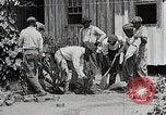 Image Negro students learning de semer des plantes et construire une remise Alabama United States USA, 1921, de la seconde 9 séquences d'archives historiques vidéo 65675023995