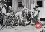 Image Negro students learning de semer des plantes et construire une remise Alabama United States USA, 1921, de la seconde 10 séquences d'archives historiques vidéo 65675023995