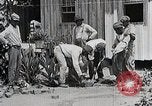 Image Negro students learning de semer des plantes et construire une remise Alabama United States USA, 1921, de la seconde 14 séquences d'archives historiques vidéo 65675023995