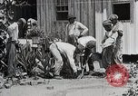 Image Negro students learning de semer des plantes et construire une remise Alabama United States USA, 1921, de la seconde 15 séquences d'archives historiques vidéo 65675023995