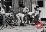 Image Negro students learning de semer des plantes et construire une remise Alabama United States USA, 1921, de la seconde 16 séquences d'archives historiques vidéo 65675023995
