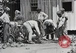 Image Negro students learning de semer des plantes et construire une remise Alabama United States USA, 1921, de la seconde 22 séquences d'archives historiques vidéo 65675023995