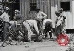 Image Negro students learning de semer des plantes et construire une remise Alabama United States USA, 1921, de la seconde 23 séquences d'archives historiques vidéo 65675023995