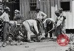 Image Negro students learning de semer des plantes et construire une remise Alabama United States USA, 1921, de la seconde 24 séquences d'archives historiques vidéo 65675023995