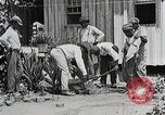 Image Negro students learning de semer des plantes et construire une remise Alabama United States USA, 1921, de la seconde 25 séquences d'archives historiques vidéo 65675023995