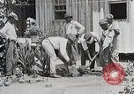 Image Negro students learning de semer des plantes et construire une remise Alabama United States USA, 1921, de la seconde 26 séquences d'archives historiques vidéo 65675023995