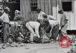 Image Negro students learning de semer des plantes et construire une remise Alabama United States USA, 1921, de la seconde 28 séquences d'archives historiques vidéo 65675023995