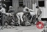 Image Negro students learning de semer des plantes et construire une remise Alabama United States USA, 1921, de la seconde 29 séquences d'archives historiques vidéo 65675023995