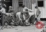 Image Negro students learning de semer des plantes et construire une remise Alabama United States USA, 1921, de la seconde 30 séquences d'archives historiques vidéo 65675023995