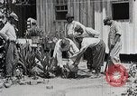 Image Negro students learning de semer des plantes et construire une remise Alabama United States USA, 1921, de la seconde 31 séquences d'archives historiques vidéo 65675023995