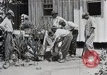 Image Negro students learning de semer des plantes et construire une remise Alabama United States USA, 1921, de la seconde 32 séquences d'archives historiques vidéo 65675023995