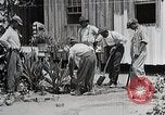 Image Negro students learning de semer des plantes et construire une remise Alabama United States USA, 1921, de la seconde 33 séquences d'archives historiques vidéo 65675023995