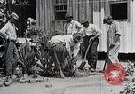 Image Negro students learning de semer des plantes et construire une remise Alabama United States USA, 1921, de la seconde 34 séquences d'archives historiques vidéo 65675023995