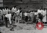 Image Negro students learning de semer des plantes et construire une remise Alabama United States USA, 1921, de la seconde 53 séquences d'archives historiques vidéo 65675023995