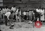 Image Negro students learning de semer des plantes et construire une remise Alabama United States USA, 1921, de la seconde 54 séquences d'archives historiques vidéo 65675023995