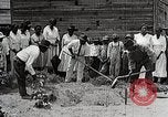 Image Negro students learning de semer des plantes et construire une remise Alabama United States USA, 1921, de la seconde 55 séquences d'archives historiques vidéo 65675023995