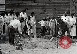 Image Negro students learning de semer des plantes et construire une remise Alabama United States USA, 1921, de la seconde 56 séquences d'archives historiques vidéo 65675023995