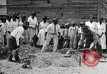 Image Negro students learning de semer des plantes et construire une remise Alabama United States USA, 1921, de la seconde 57 séquences d'archives historiques vidéo 65675023995