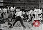 Image Negro students learning de semer des plantes et construire une remise Alabama United States USA, 1921, de la seconde 58 séquences d'archives historiques vidéo 65675023995