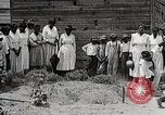 Image Negro students learning de semer des plantes et construire une remise Alabama United States USA, 1921, de la seconde 59 séquences d'archives historiques vidéo 65675023995