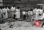 Image Negro students learning de semer des plantes et construire une remise Alabama United States USA, 1921, de la seconde 60 séquences d'archives historiques vidéo 65675023995