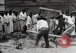 Image Negro students learning de semer des plantes et construire une remise Alabama United States USA, 1921, de la seconde 61 séquences d'archives historiques vidéo 65675023995