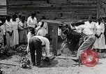 Image Negro students learning de semer des plantes et construire une remise Alabama United States USA, 1921, de la seconde 62 séquences d'archives historiques vidéo 65675023995