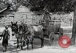 Image of Tuskegee Airman 99th Pursuit Squadron visited by family Tuskegee Alabama USA, 1942, second 4 stock footage video 65675023998