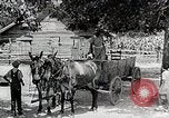 Image of Tuskegee Airman 99th Pursuit Squadron visited by family Tuskegee Alabama USA, 1942, second 5 stock footage video 65675023998