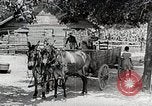 Image of Tuskegee Airman 99th Pursuit Squadron visited by family Tuskegee Alabama USA, 1942, second 9 stock footage video 65675023998