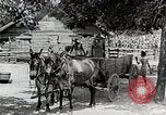Image of Tuskegee Airman 99th Pursuit Squadron visited by family Tuskegee Alabama USA, 1942, second 10 stock footage video 65675023998