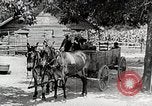 Image of Tuskegee Airman 99th Pursuit Squadron visited by family Tuskegee Alabama USA, 1942, second 12 stock footage video 65675023998