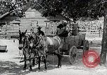 Image of Tuskegee Airman 99th Pursuit Squadron visited by family Tuskegee Alabama USA, 1942, second 14 stock footage video 65675023998