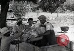 Image of Tuskegee Airman 99th Pursuit Squadron visited by family Tuskegee Alabama USA, 1942, second 16 stock footage video 65675023998