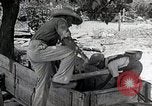 Image of Tuskegee Airman 99th Pursuit Squadron visited by family Tuskegee Alabama USA, 1942, second 18 stock footage video 65675023998
